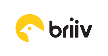 OpenGraph image for briiv.co.uk