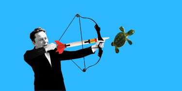 OpenGraph image for businessinsider.com/elon-musk-spacex-mars-longtermism-baby-sea-turtles-2022-3