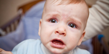 OpenGraph image for businessinsider.com/wfa-report-ad-fraud-will-cost-advertisers-50-billion-by-2025-2016-6