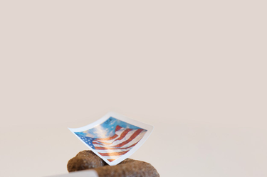 OpenGraph image for buzzfeed.com/katiejmbaker/professors-receive-packets-of-poop?utm_term=.tflM7Xbej#.ms1d8zp0k