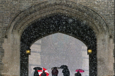 OpenGraph image for buzzfeed.com/mollyhensleyclancy/asians-very-familiar-profiles-princeton?utm_term=.plwjP0NwV#.pfkrXMNxa