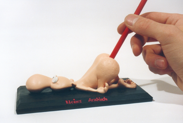 OpenGraph image for carstensommer-objekte.de/galerie/kleines-arschloch/