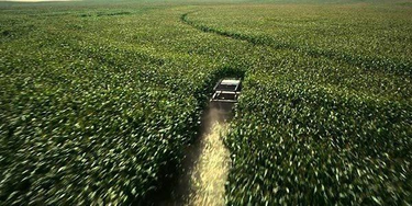 OpenGraph image for cinemablend.com/news/2471590/how-interstellar-turned-christopher-nolan-into-an-actual-corn-farmer