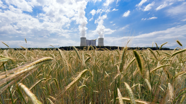 OpenGraph image for cnbc.com/2021/02/19/degrowth-pushing-social-wellbeing-and-climate-over-economic-growth.html