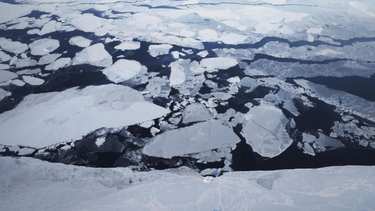 OpenGraph image for cnn.com/2019/05/21/health/climate-change-sea-levels-scn-intl/index.html