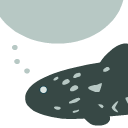 OpenGraph image for coelacanth-dream.com/posts/2022/01/11/intel-kmb-thb/