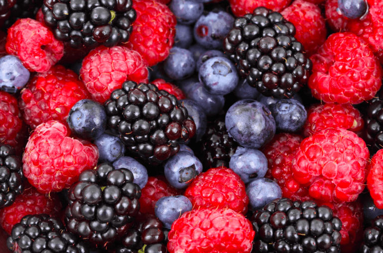 What are fertility superfoods? I Blog I Conceive Health