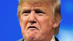 OpenGraph image for dailykos.com/story/2017/5/1/1657780/--Trump-has-the-intellectual-depth-of-a-coat-of-paint