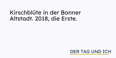 OpenGraph image for dertagundich.de/2018/04/07/kirschbluete-in-der-bonner-altstadt-2018-die-erste/