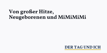 OpenGraph image for dertagundich.de/2018/08/15/von-grosser-hitze-neugeborenen-und-mimimimi/