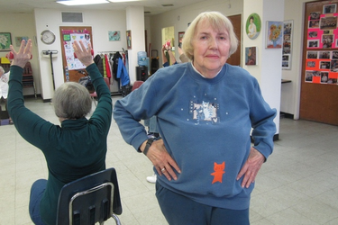 OpenGraph image for dnainfo.com/new-york/20160308/lower-east-side/citys-senior-citizen-enclaves-are-danger-advocates-say