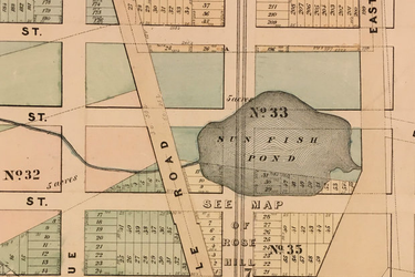 OpenGraph image for dnainfo.com/new-york/20160516/kips-bay/times-square-spring-once-fed-small-pond-on-31st-st-parks-historian-says