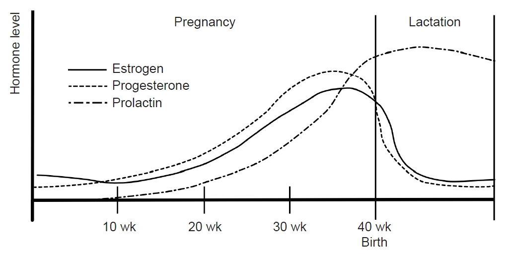 Migraines in Women: A Focus on Reproductive Events and ...