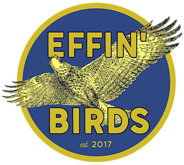 OpenGraph image for effinbirds.com/search?q=elon