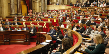 OpenGraph image for elnacional.cat/en/news/catalan-parliament-spanish-constitution-antidemocratic_336510_102.html