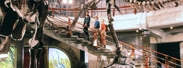 OpenGraph image for emaxilde.net/posts/2020/07/18/je-fais-partie-d-une-espece-menacee-d-extinction.html