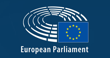 OpenGraph image for europarl.europa.eu/sides/getDoc.do?pubRef=-//EP//TEXT+WQ+E-2008-0553+0+DOC+XML+V0//EN&language=EN