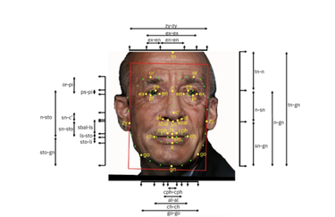 OpenGraph image for excavating.ai/