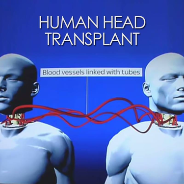 OpenGraph image for facebook.com/ScienceNaturePage/videos/1033910753407849/?hc_ref=NEWSFEED