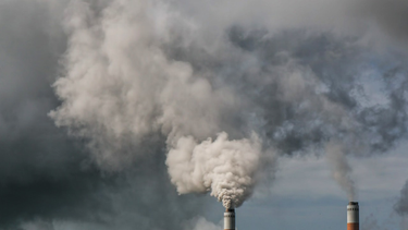 OpenGraph image for fastcompany.com/90229524/air-pollution-may-be-making-us-stupider