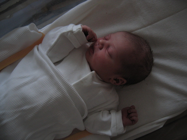 OpenGraph image for flickr.com/photos/dalelane/2298526865/