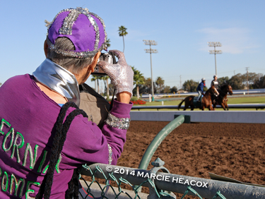 OpenGraph image for flickr.com/photos/greyhorse_azeri/13992627687/