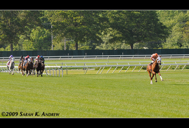 OpenGraph image for flickr.com/photos/rockandracehorses/3688588005