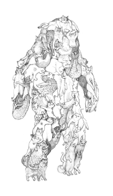 OpenGraph image for flickr.com/photos/shyamagolden/sets/72157640053065985/