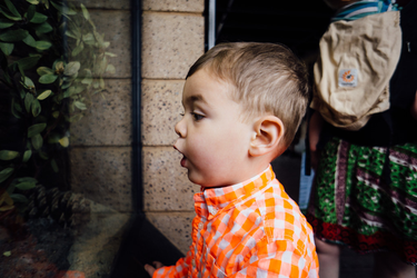 OpenGraph image for flickr.com/photos/subliminal/albums/72157680105678921