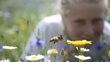 OpenGraph image for foe.co.uk/act/help-alyson-stop-opencast-coal-mining-nant-llesg