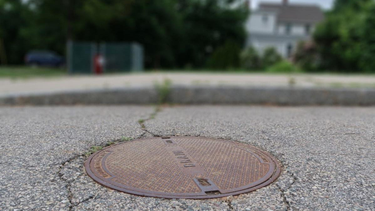 OpenGraph image for fosters.com/story/news/local/2021/06/25/teenage-mutant-ninja-turtles-origins-dover-nh-memorializing-manhole-cover-tmnt/5302202001/