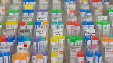 OpenGraph image for francetvinfo.fr/sante/medicament/homeopathie/l-homeopathie-ne-sera-plus-remboursee-par-la-securite-sociale-en-2021_3650009.html