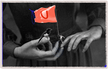 OpenGraph image for freelancersunion.org/blog/2015/09/09/250-days-and-counting-how-long-will-one-freelancer-have-wait-she-sees-payment/