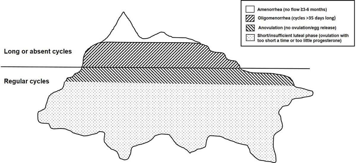Adaptive, reversible, hypothalamic reproductive suppression