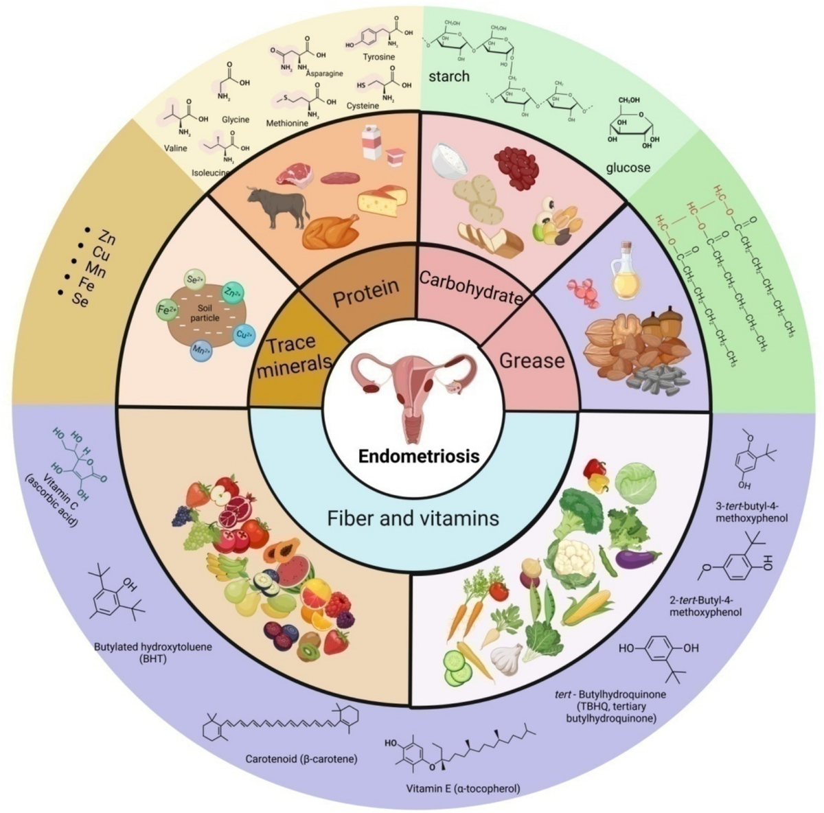 Effect of dietary patterns and nutritional supplementation in the ...