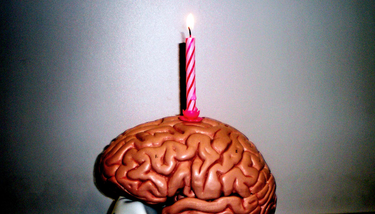 OpenGraph image for futurity.org/academic-education-brain-aging-2674982/