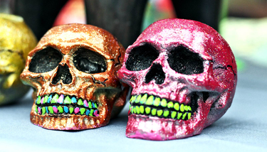 OpenGraph image for futurity.org/golden-ratio-human-skull-2176162/