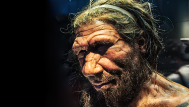 OpenGraph image for futurity.org/neanderthal-extincton-disease-transmission-2206732-2/