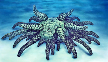 OpenGraph image for futurity.org/new-creature-sollasina-cthulhu-2032962/