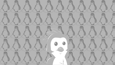 OpenGraph image for gamingonlinux.com/2022/08/linux-519-is-out-now-torvalds-released-it-using-an-apple-silicon-macbook/