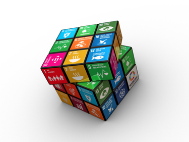 OpenGraph image for griffith.edu.au/engage/professional-learning/content-centre/sdgs-a-mission-led-approach