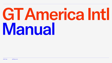 OpenGraph image for grillitype.com/typeface/gt-america