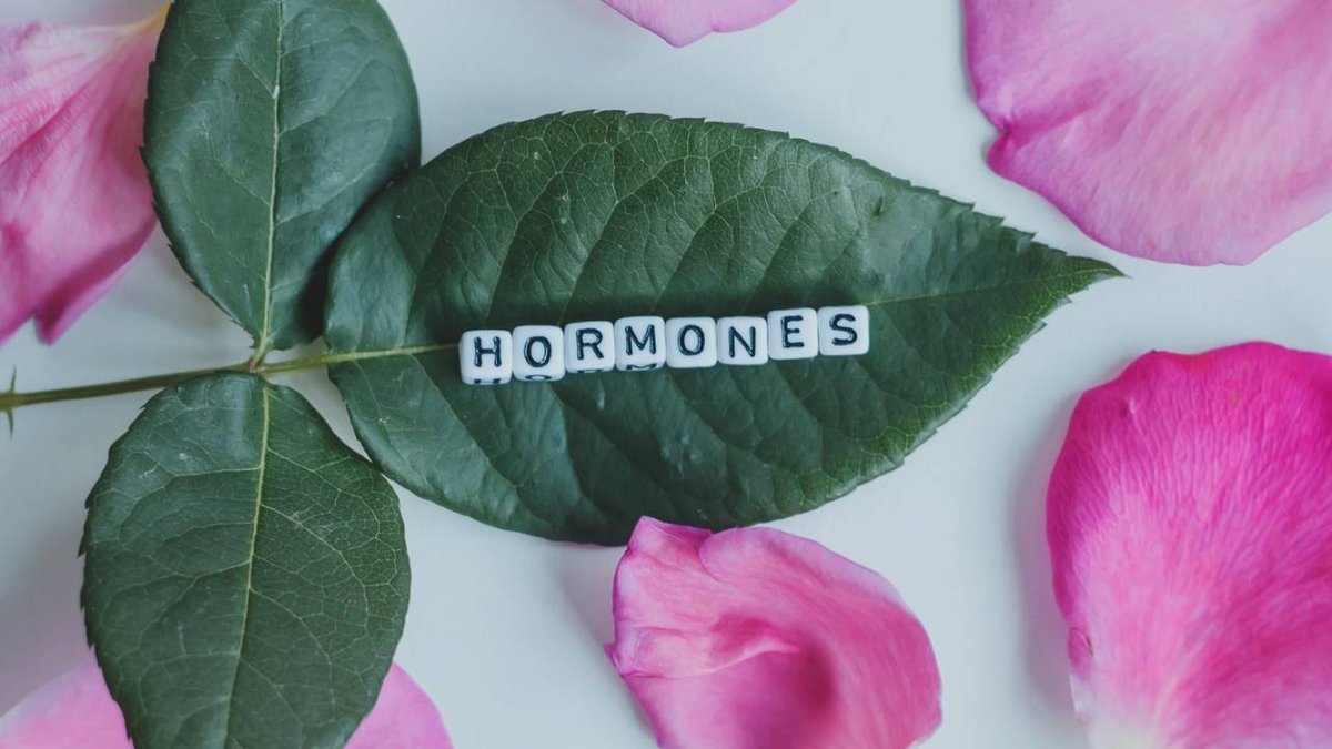 Periods Poops? How Your Menstrual Cycle Impacts Gut Health