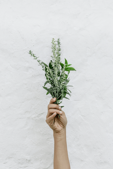 Herbs to support your hormones and cycle - Guud Woman