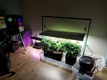 OpenGraph image for hackster.io/londonium2021/automatic-indoor-vegetable-garden-9ea453