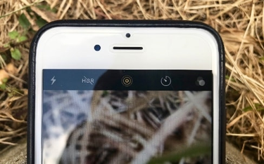 OpenGraph image for igen.fr/ios/2017/06/ios-11-les-nouveautes-pour-les-live-photos-100109