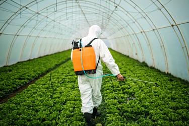 OpenGraph image for independent.co.uk/climate-change/news/roundup-weed-killer-animals-bees-b2150704.html