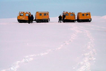 OpenGraph image for independent.co.uk/environment/arctic-heatwave-canada-climate-change-temperature-record-alert-nunavut-alaska-a9008181.html