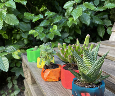 OpenGraph image for instructables.com/Colorful-Plant-Pots-Made-From-Recycled-Plastic/