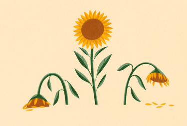 OpenGraph image for investopedia.com/articles/personal-finance/041315/risk-and-rewards-investing-startups.asp